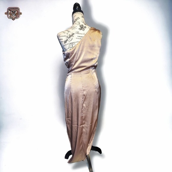 Baltic Born Celia One Shoulder Champagne Midi Event Dress, Medium - Picture 3 of 8